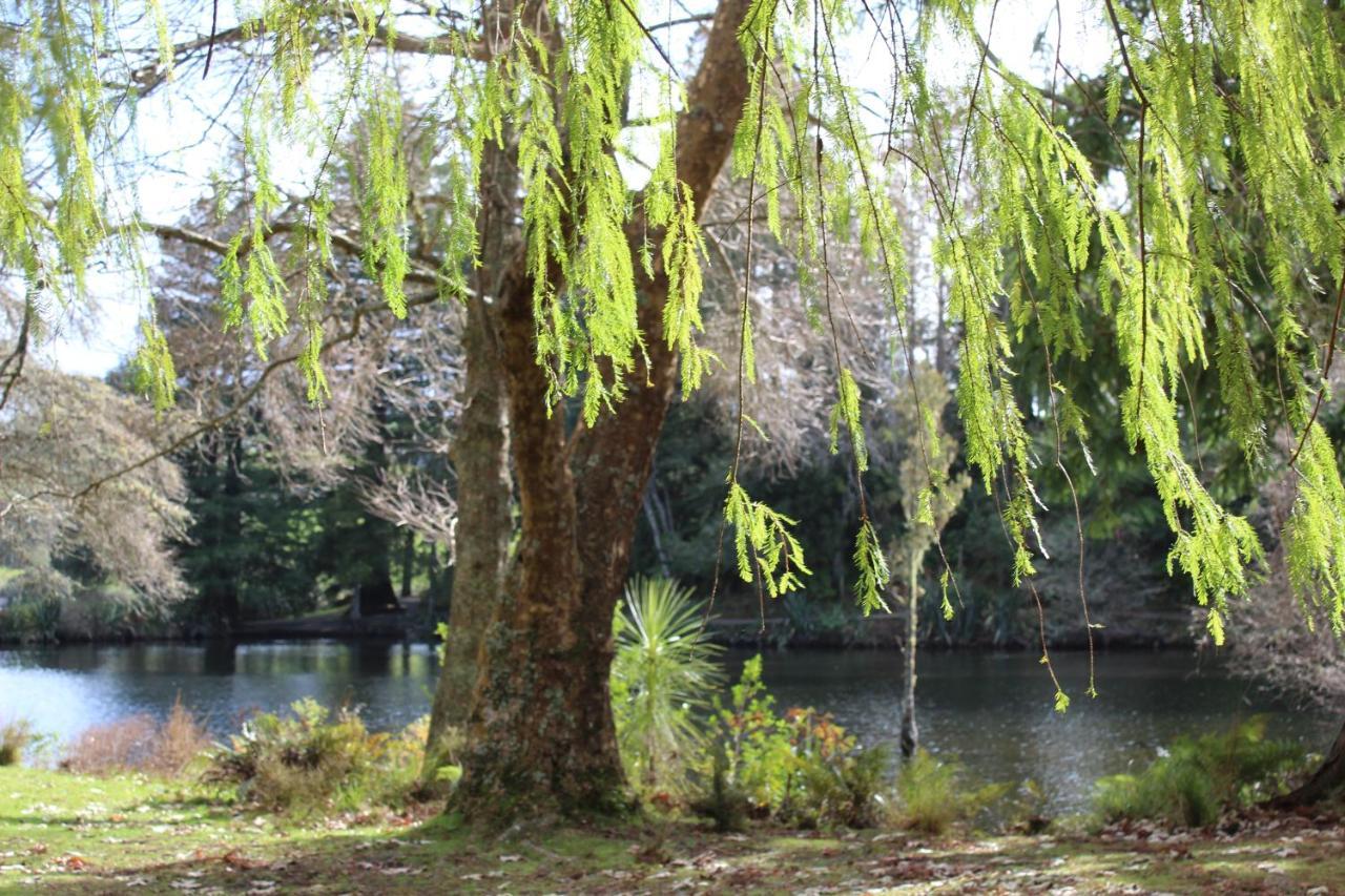 Mclaren Lake View Ταουράνγκα Εξωτερικό φωτογραφία